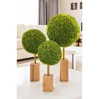 Moosdekoration | Moosbäumchen Mooskugel Mooskunst Moos Einzeln Oder Als 3 Moosbäume Set Moosdekoration | Moosbäumchen Mooskugel Mooskunst Moos Einzeln Oder Als 3 Moosbäume Set von dekogreen