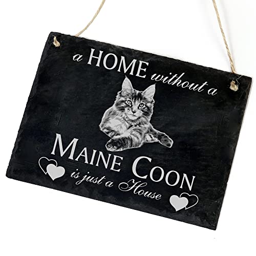 Schiefertafel Katze Deko Schild - Maine Coon - A Home Without A Maine Coon is just A House 22 x 16 cm Katzen Dekoration Zubehör Katzendeko von dekolando