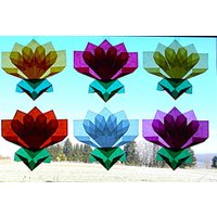 Blumen Seerosen 3 Transparente Fensterdeko Frühlingsdeko Bunt Blumen Seerosen 3 Transparente Fensterdeko Frühlingsdeko Bunt von dekosterne