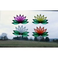 Blumen Seerosen 1 Transparente Fensterdeko Frühlingsdeko Bunt Blumen Seerosen 1 Transparente Fensterdeko Frühlingsdeko Bunt von dekosterne