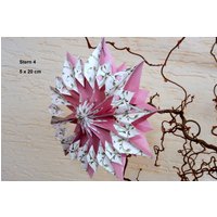 Tütenstern Stern Nr. 4 20 X 5 cm Weihnachten Advent Fensterdeko Sterne Tütenstern Stern Nr. 4 20 X 5 cm Weihnachten Advent Fensterdeko Sterne von dekosterne