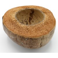 Eine Halbe Kokosnuss Schale Getrocknet, Naturbelassen von dekoundmeer