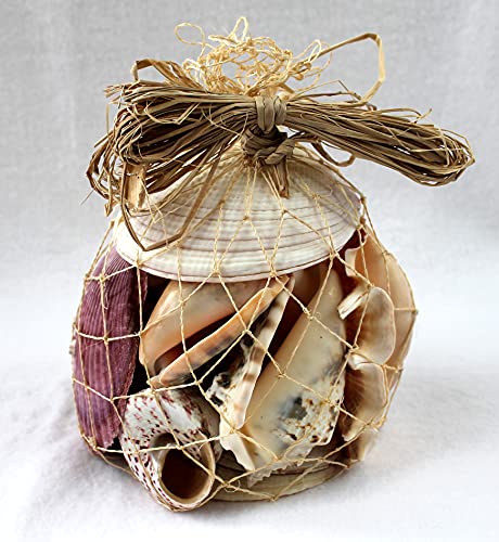 dekoundmeer Muschelbeutel 500 g Muscheln im Netz zur Dekoration Party Strand Schale von dekoundmeer