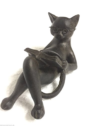 dekowonderland Dekofigur Figur Katze Kater Brille Buch Leseratte Geschenk Dekoration 14x7,5 cm von dekowonderland