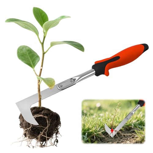 dellyy Unkrautstecher Edelstahl, Wurzeljäter mit Griff,Weeder Edelstahl, Manueller Weeder zum Graben Jäten, Unkrautmesser zum Entfernen von Unkraut und Moos, Entwurzeln, Ergonomisch dellyy Unkrautstecher Edelstahl, Wurzeljäter mit Griff,Weeder Edelstahl, Manueller Weeder zum Graben Jäten, Unkrautmesser zum Entfernen von Unkraut und Moos, Entwurzeln, Ergonomisch von dellyy