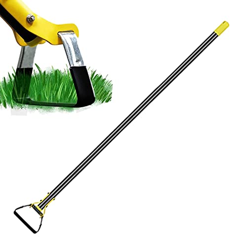 delr Gartenwerkzeug Hacke, Gartenhacke, Gartenhacke, Unkrautentferner, Aktionshacke, manueller Rasenmäher, Unkrautstecher von delr