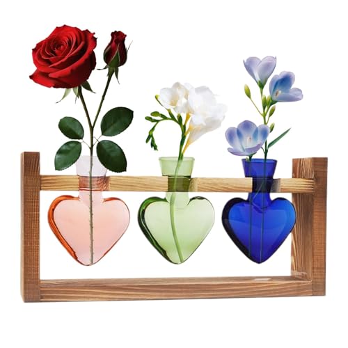 demaxiyad Hydrokultur-Pflanzer, Pflanzgefäß, Anzuchtstation für pflanzliches Terrarium in Herzform – Tisch-Pflanzer mit Ständer aus Holz, Terrarium zur Dekoration des Gartens, Dekoration demaxiyad Hydrokultur-Pflanzer, Pflanzgefäß, Anzuchtstation für pflanzliches Terrarium in Herzform – Tisch-Pflanzer mit Ständer aus Holz, Terrarium zur Dekoration des Gartens, Dekoration von demaxiyad