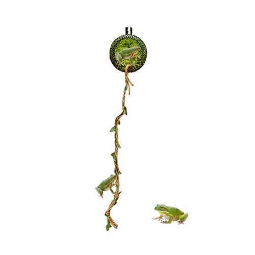 demaxiyad Spinnen Terrarium - Magnetische Höhle Mit Seilbrücke Für Springspinnen - Unterschlupf Für Hundertfüßer Reptilienfütterung Zucht Käfer Geckos Eidechsen Frösche Grillen demaxiyad Spinnen Terrarium - Magnetische Höhle Mit Seilbrücke Für Springspinnen - Unterschlupf Für Hundertfüßer Reptilienfütterung Zucht Käfer Geckos Eidechsen Frösche Grillen von demaxiyad