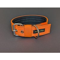 Orange Hundehalsband - Extra Breit, Weich Gepolstert & Robust | Wide Padded Dog Collar Verstellbares Halsband Größe 44-50 cm von deroicollars