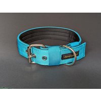 Türkis Hundehalsband - Extra Breit, Weich Gepolstert & Robust | Wide Padded Dog Collar Verstellbares Halsband Größe 44-50 cm von deroicollars