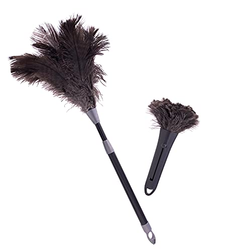 2 Staubwedel mit Original Straußenfedern - Computer Duster und Staubwischer mit Teleskopauszug - Praktisches Staubfänger Set für einfaches und effektives Staubentfernen von africX