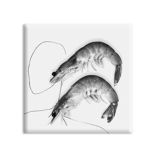 Kühlschrankmagnet Stilleben Fisch - 5 x 5 cm - Magnet mit Foto-Motiv: Zwei Garnelen von COGNOSCO