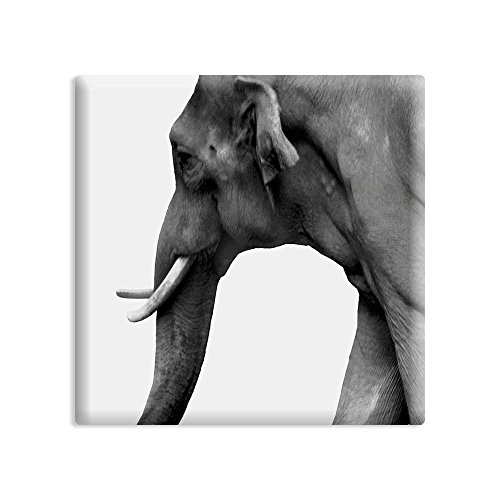 Kühlschrankmagnet Tiere - 5 x 5 cm - Magnet mit Foto-Motiv: Elefant von designersgroup