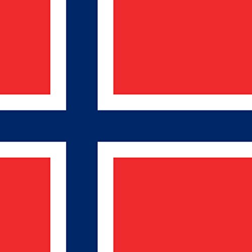 Kühlschrankmagnet mit norwegischer Nationalflagge - 5 x 5 cm - Norwegen Magnet von designersgroup