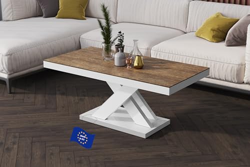 Design Couchtisch XLU-888 Rostoptik/Weiß Hochglanz 120x50x60cm Wohnzimmertisch Sofatisch modern platzsparend Wohnzimmer Tisch für kleine Räume Living Room Table von designimpex