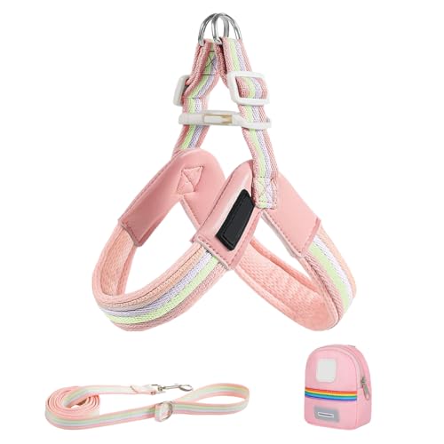dewdat Hundegeschirr Mit Führleine - Verstellbares Geschirr Für Kleine Hunde - Ergonomischer Sitz Sicherheit Mit Tasche Für Training Spaziergänge Aktivitäten dewdat Hundegeschirr Mit Führleine - Verstellbares Geschirr Für Kleine Hunde - Ergonomischer Sitz Sicherheit Mit Tasche Für Training Spaziergänge Aktivitäten von dewdat