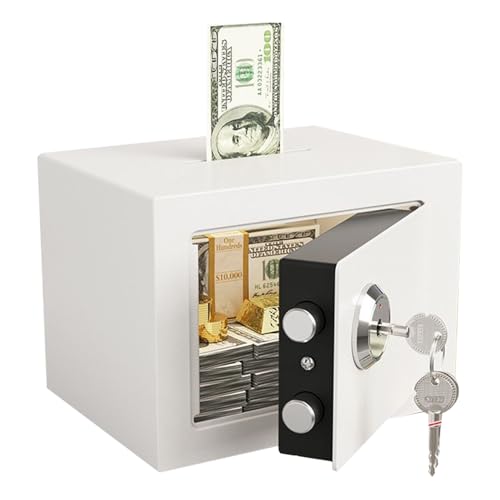 dewdat für Zuhause - Tresorbox mit mechanischem Schlüsselschloss,Diebstahlschutz Aufbewahrung Für Schmuck Dokumente Münzen Wertgegenstände Im Haushalt Reise Schrank Studentenwohnung von dewdat