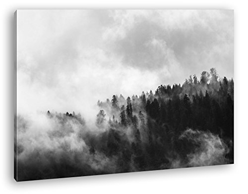 Atemberaubender Nebel im Wald Format: 120x80 Effekt: Schwarz/Weiß als Leinwandbild, Motiv fertig gerahmt auf Echtholzrahmen, Hochwertiger Digitaldruck mit Rahmen, Kein Poster oder Plakat von deyoli