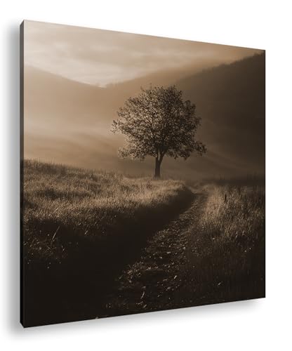 Einsamer roter Baum im Nebel, Pfad führt ins Mysterium der Natur. Format: 70x70 cm Effekt:Sepia als Leinwandbild, Motiv fertig gerahmt auf Echtholzrahmen, Hochwertiger Digitaldruck mit Rahmen Einsamer roter Baum im Nebel, Pfad führt ins Mysterium der Natur. Format: 70x70 cm Effekt:Sepia als Leinwandbild, Motiv fertig gerahmt auf Echtholzrahmen, Hochwertiger Digitaldruck mit Rahmen von deyoli