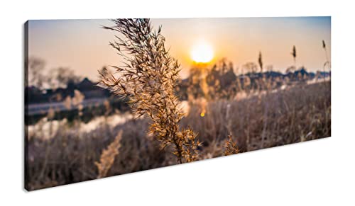 Gras im lechtenden Sonnenuntergang Panorama 120x60 cm als Leinwandbild, Motiv fertig gerahmt auf Echtholzrahmen, Hochwertiger Digitaldruck mit Rahmen von deyoli