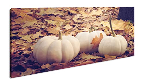 Herbstliche Kürbise Panorama 120x60 cm als Leinwandbild, Motiv fertig gerahmt auf Echtholzrahmen, Hochwertiger Digitaldruck mit Rahmen von deyoli