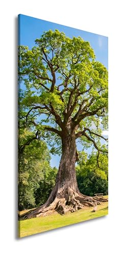 Leinwandbild Ein majestätischer Baum, fest verwurzelt im Licht. Panorama 100x50cm XXL Kunstdruck Bild auf Keilrahmen/Wandbild/Wohnzimmer Dekoration Leinwandbild Ein majestätischer Baum, fest verwurzelt im Licht. Panorama 100x50cm XXL Kunstdruck Bild auf Keilrahmen/Wandbild/Wohnzimmer Dekoration von deyoli