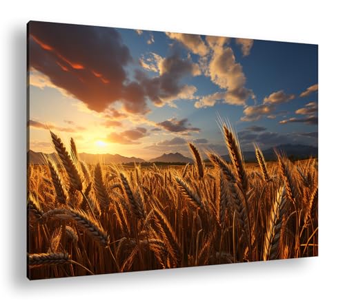 Leinwandbild Weizenfelder im goldenen Sonnenuntergang, sanfter Wind in den Ähren Format: 70x50cm XXL Kunstdruck Bild auf Holzrahmen/Wandbild/Wohnzimmer Dekoration Leinwandbild Weizenfelder im goldenen Sonnenuntergang, sanfter Wind in den Ähren Format: 70x50cm XXL Kunstdruck Bild auf Holzrahmen/Wandbild/Wohnzimmer Dekoration von deyoli