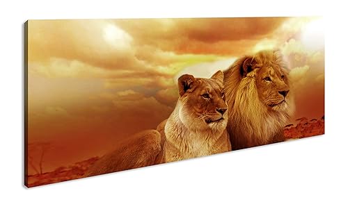 Löwen in Afrika Panorama 120x60 cm als Leinwandbild, Motiv fertig gerahmt auf Echtholzrahmen, Hochwertiger Digitaldruck mit Rahmen von deyoli
