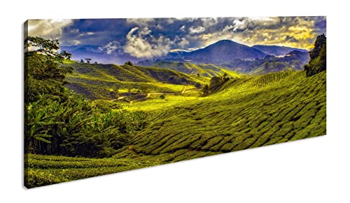 Malaysische Bergfelder Panorama 120x60 cm als Leinwandbild, Motiv fertig gerahmt auf Echtholzrahmen, Hochwertiger Digitaldruck mit Rahmen von deyoli
