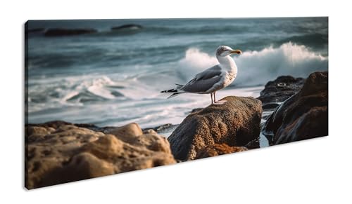 Möwe beim Sonnenuntergang Panorama 60x30 cm als Leinwandbild, Motiv fertig gerahmt auf Echtholzrahmen, Hochwertiger Digitaldruck mit Rahmen von deyoli