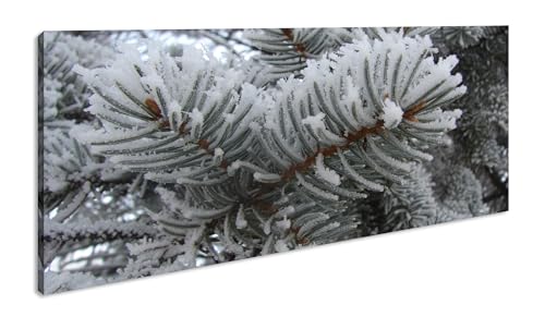 Schnee bedeckter Nadelbaum Panorama 60x30 cm als Leinwandbild, Motiv fertig gerahmt auf Echtholzrahmen, Hochwertiger Digitaldruck mit Rahmen von deyoli