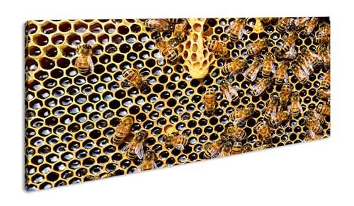 atemberaubende Honigwabe mit Bienen Panorama 120x60 cm als Leinwandbild, Motiv fertig gerahmt auf Echtholzrahmen, Hochwertiger Digitaldruck mit Rahmen von deyoli