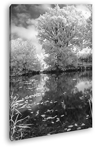 atemberaubender Baum in der Natur Effekt: Schwarz/Weiß im Format: 80x60 als Leinwandbild, Motiv fertig gerahmt auf Echtholzrahmen, Hochwertiger Digitaldruck mit Rahmen, Kein Poster oder Plakat von deyoli