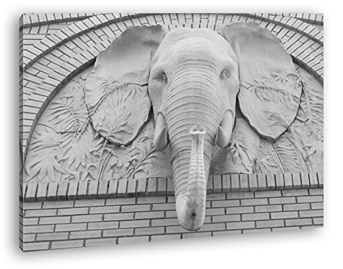 deyoli Beeindruckendes Elefanten Relief Effekt: Schwarz/Weiß Format: 120x80 als Leinwandbild, Motiv fertig gerahmt auf Echtholzrahmen, Hochwertiger Digitaldruck mit Rahmen, Kein Poster oder Plakat von deyoli