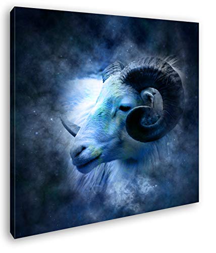 deyoli Bezaubernder Widderkopf im Format: 40x40 als Leinwandbild, Motiv fertig gerahmt auf Echtholzrahmen, Hochwertiger Digitaldruck mit Rahmen, Kein Poster oder Plakat deyoli Bezaubernder Widderkopf im Format: 40x40 als Leinwandbild, Motiv fertig gerahmt auf Echtholzrahmen, Hochwertiger Digitaldruck mit Rahmen, Kein Poster oder Plakat von deyoli