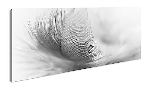 deyoli Die Leichtigkeit Einer Feder Panorama 80x40 cm Effekt: Schwarz/Weiss als Leinwandbild, Motiv fertig gerahmt auf Echtholzrahmen, Hochwertiger Digitaldruck mit Rahmen von deyoli