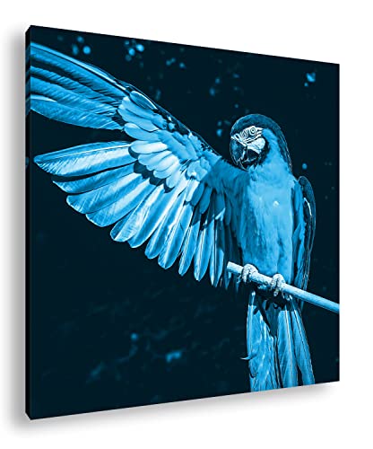 deyoli Exotisch gelb Blauer Papagei Format: 40x40 Effekt: Monocrome Blau als Leinwand, Motiv fertig gerahmt auf Echtholzrahmen, Hochwertiger Digitaldruck mit Rahmen von deyoli