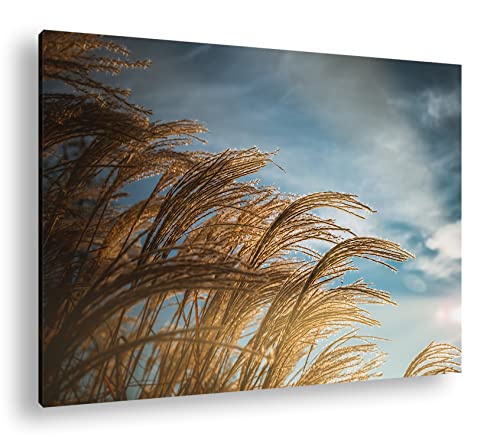 deyoli Grashalme im Winde Format: 120x80 als Leinwandbild, Motiv fertig gerahmt auf Echtholzrahmen, Hochwertiger Digitaldruck, Kein Poster oder Plakat deyoli Grashalme im Winde Format: 120x80 als Leinwandbild, Motiv fertig gerahmt auf Echtholzrahmen, Hochwertiger Digitaldruck, Kein Poster oder Plakat von deyoli
