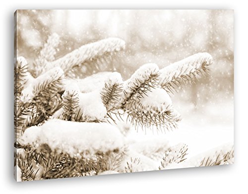 deyoli Kiefernzweige im Winter Format: 60x40 Effekt: Sepia als Leinwandbild, Motiv fertig gerahmt auf Echtholzrahmen, Hochwertiger Digitaldruck mit Rahmen, Kein Poster oder Plakat von deyoli