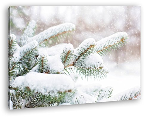 deyoli Kiefernzweige im Winter Format: 80x60 als Leinwandbild, Motiv fertig gerahmt auf Echtholzrahmen, Hochwertiger Digitaldruck mit Rahmen, Kein Poster oder Plakat von deyoli
