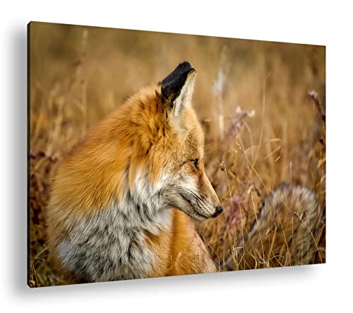 deyoli Kleiner Fuchs im Getreidefeld Format: 60x40 als Leinwand, Motiv fertig gerahmt auf Echtholzrahmen, Hochwertiger Digitaldruck mit Rahmen, Kein Poster oder Plakat von deyoli