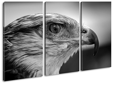 deyoli Kopf eines Falken Effekt: Schwarz/Weiß Format: 3-teilig 120x80 als Leinwandbild, Motiv fertig gerahmt auf Echtholzrahmen, Hochwertiger Digitaldruck mit Rahmen, Kein Poster oder Plakat von deyoli