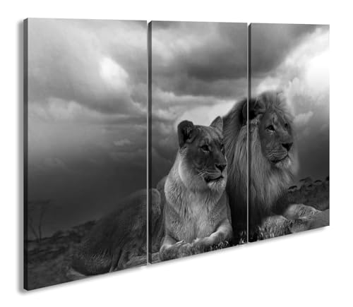 deyoli Löwen in Afrika Effekt: Schwarz/Weiß Format: 3-teilig 120x80 als Leinwandbild, Motiv fertig gerahmt auf Echtholzrahmen, Hochwertiger Digitaldruck mit Rahmen, Kein Poster oder Plakat von deyoli