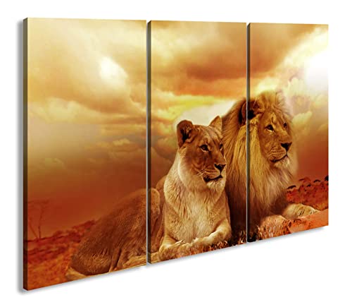 deyoli Löwen in Afrika Format: 3-teilig 120x80 als Leinwandbild, Motiv fertig gerahmt auf Echtholzrahmen, Hochwertiger Digitaldruck mit Rahmen, Kein Poster oder Plakat von deyoli