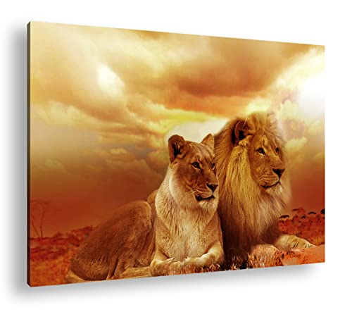 deyoli Löwen in Afrika im Format: 120x80 als Leinwandbild, Motiv fertig gerahmt auf Echtholzrahmen, Hochwertiger Digitaldruck mit Rahmen, Kein Poster oder Plakat von deyoli