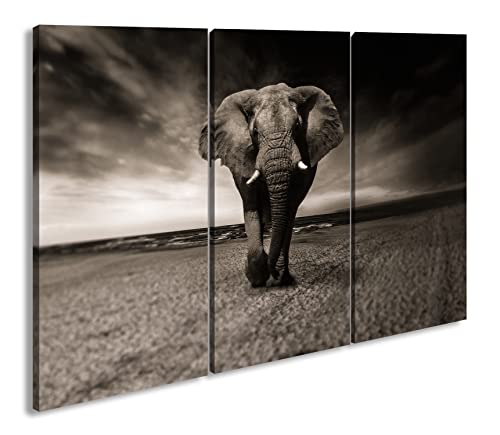 deyoli Mächtiger Elefant Format: 3-teilig 120x80 als Leinwand, Motiv fertig gerahmt auf Echtholzrahmen, Hochwertiger Digitaldruck mit Rahmen, Kein Poster oder Plakat von deyoli