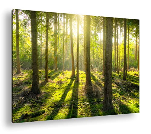 deyoli Moos bedeckter Wald Format: 120x80 als Leinwand, Motiv fertig gerahmt auf Echtholzrahmen, Hochwertiger Digitaldruck mit Rahmen, Kein Poster oder Plakat von deyoli