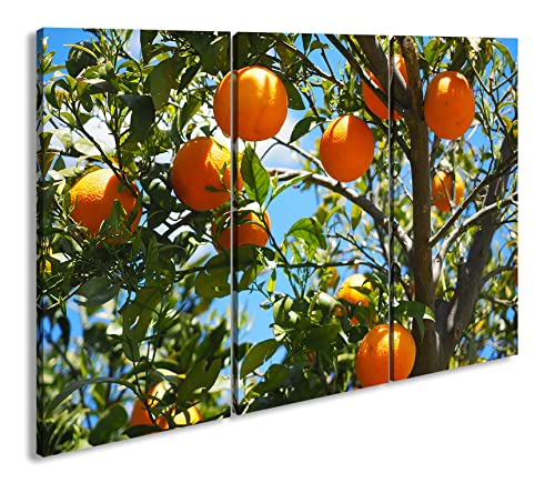 deyoli Orangenbaum mit reifen Früchten im Format: 3-teilig 120x80 als Leinwand, Motiv fertig gerahmt auf Echtholzrahmen, Hochwertiger Digitaldruck mit Rahmen, Kein Poster oder Plakat von deyoli
