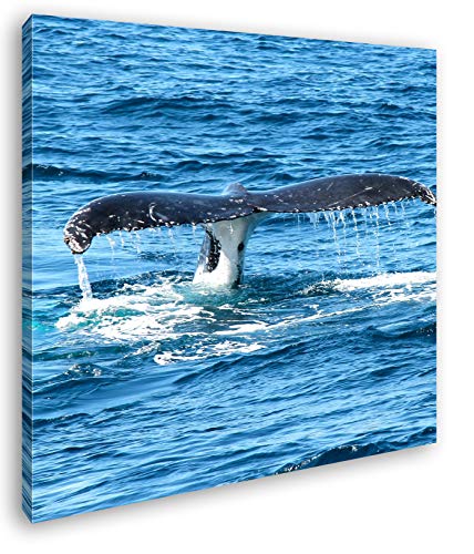 deyoli Schwanzflosse eines Wales Format: 70x70 als Leinwandbild, Motiv fertig gerahmt auf Echtholzrahmen, Hochwertiger Digitaldruck mit Rahmen, Kein Poster oder Plakat deyoli Schwanzflosse eines Wales Format: 70x70 als Leinwandbild, Motiv fertig gerahmt auf Echtholzrahmen, Hochwertiger Digitaldruck mit Rahmen, Kein Poster oder Plakat von deyoli