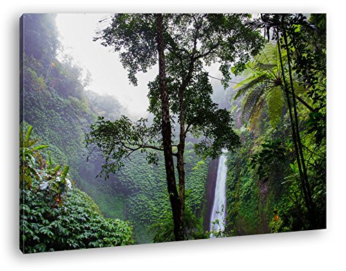 deyoli Wasserfall im tropischem Regenwald Format: 60x40 als Leinwand, Motiv fertig gerahmt auf Echtholzrahmen, Hochwertiger Digitaldruck mit Rahmen, Kein Poster oder Plakat von deyoli